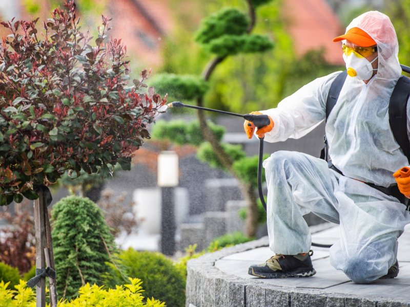 Yenimahalle Haşere İlaçlama